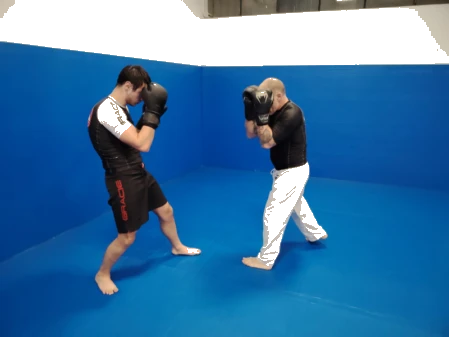 Guardia boxe