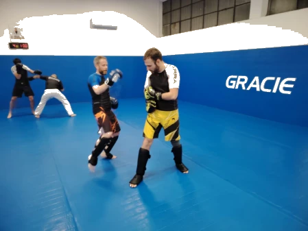 Calci boxe