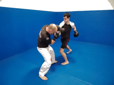 Pugni Boxe